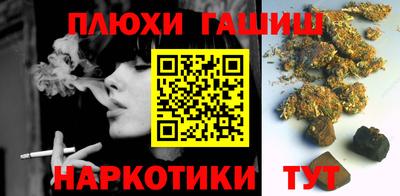 твердый Гусев