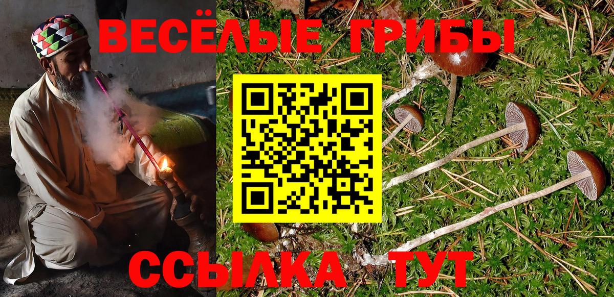 Псилоцибиновые грибы Cubensis Кириши